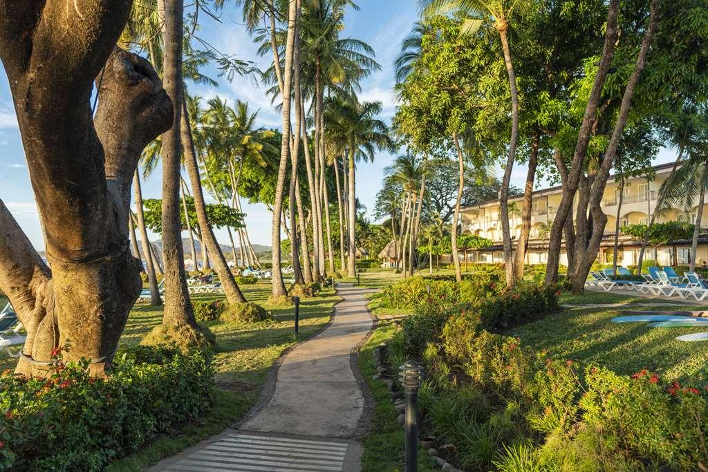 Hotel Tamarindo Diria Beach Resort Fasiliteter bilde